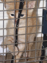 20100206 435.JPG